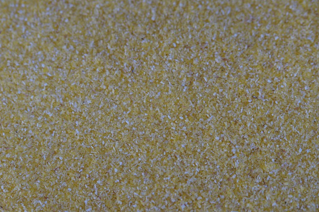 Does Cornmeal Kill Ants? If So, How To Use It?