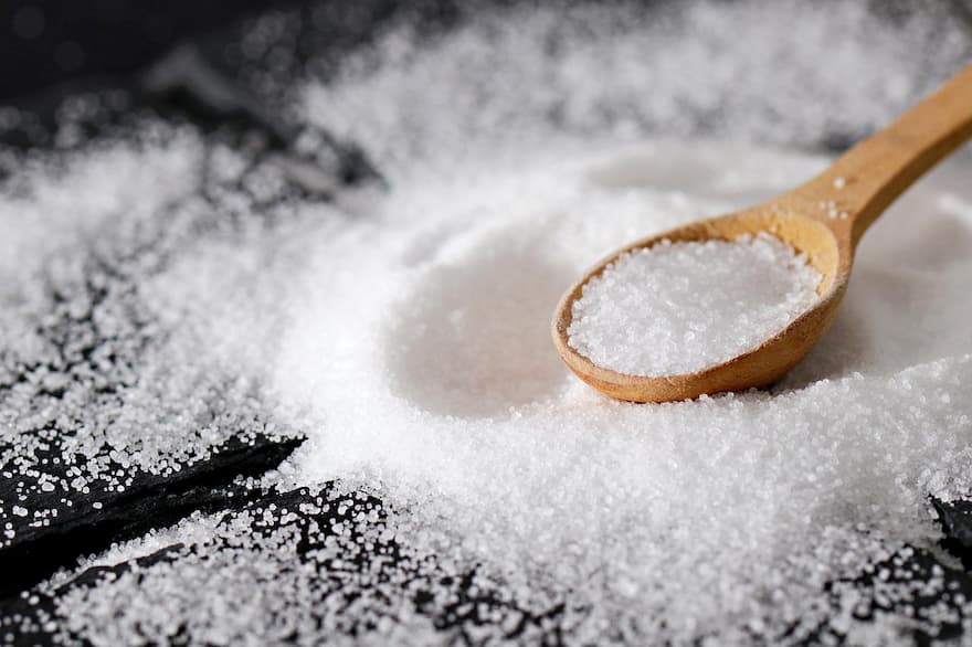 Does Salt Kill Ants? Everything You Want To Know