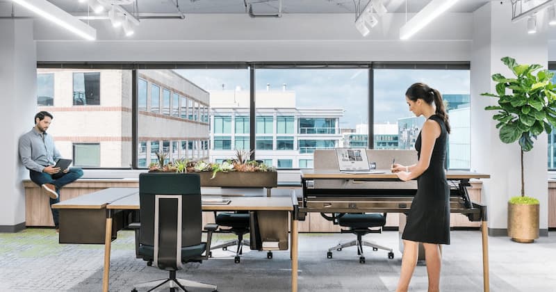 Inscape Furniture, Which is in Financial Trouble, Sells Most of Its Shares for Just $88,000