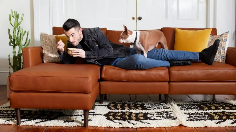 Allform Sofa Review: Should You Buy It? [2023]